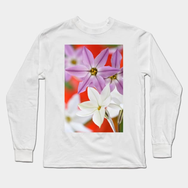 Ipheion  Two colours  Spring starflower Long Sleeve T-Shirt by chrisburrows